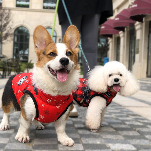 Cross-border red Christmas dog clothes warm pet clothing waterproof reflective belt chest and back cotton coat wholesale